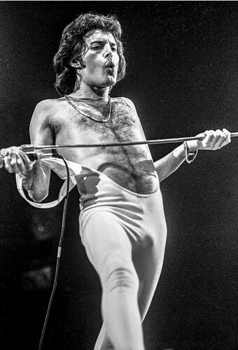 MB_MU_FM003: Freddie Mercury