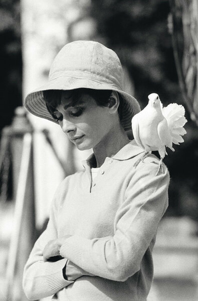 AH008: Hepburn With Dove