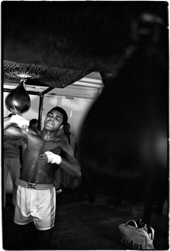 AS_SP052: Muhammad Ali