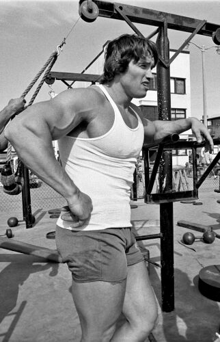 AS_SP103: Arnold Schwarzenegger