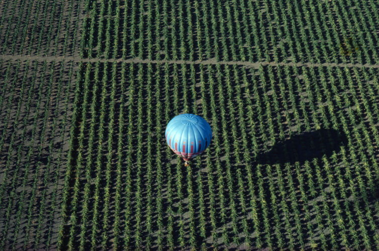 BW_CL008: Californian Landscapes