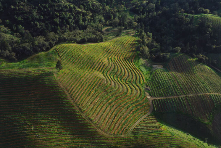 BW_CL014: Californian Landscapes