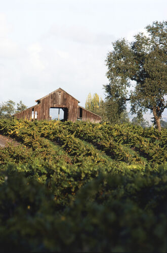 BW_CL018: Californian Landscapes