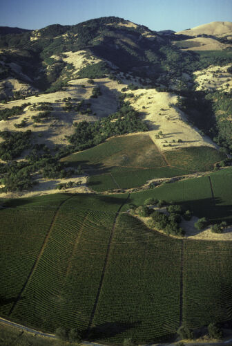 BW_CL059: Californian Landscapes