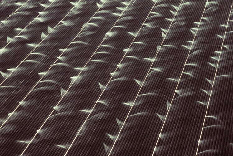 BW_CL060: Californian Landscapes