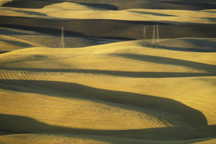 BW_CL062: Californian Landscapes