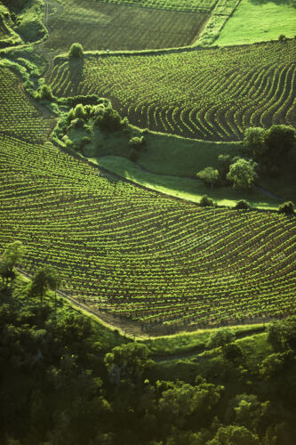 BW_CL065: Californian Landscapes