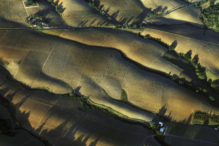 BW_CL068: Californian Landscapes