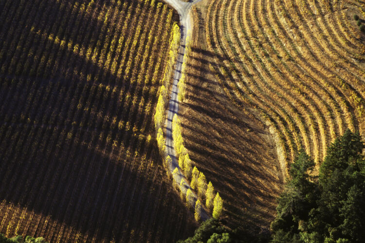 BW_CL069: Californian Landscapes