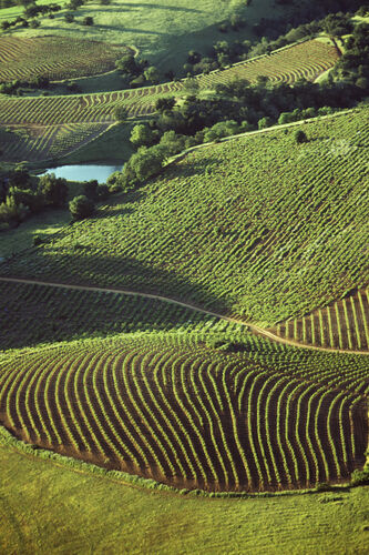 BW_CL070: Californian Landscapes