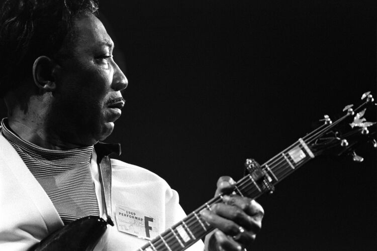 BW_MW002: Muddy Waters