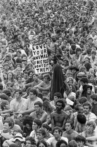 BW_WS034: Woodstock Music & Art Fair