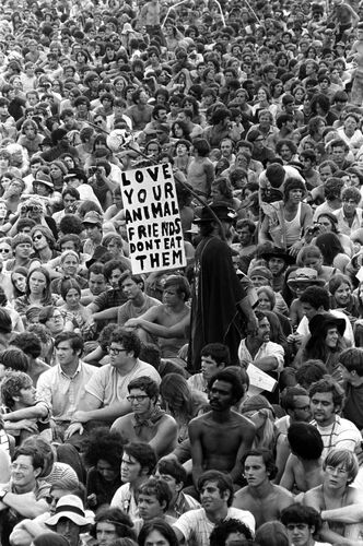 BW_WS035: Love Your Animal Friends