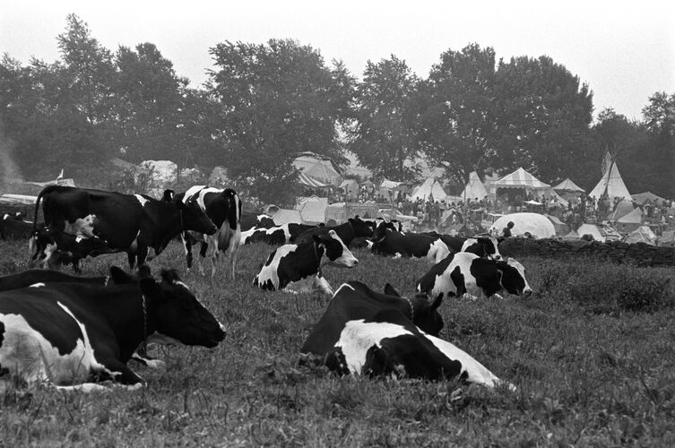 BW_WS068: Woodstock 1969