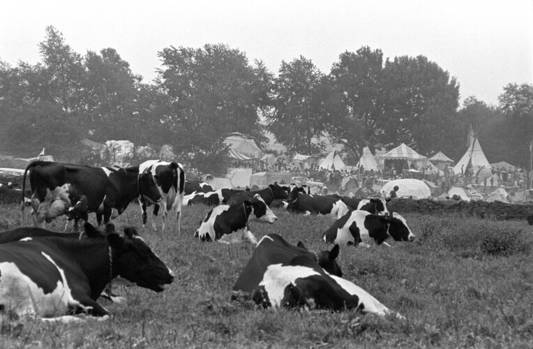 BW_WS069: Woodstock 1969