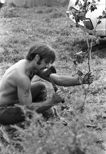 BW_WS139: Woodstock 1969