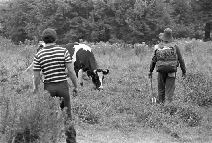 BW_WS141: Woodstock 1969