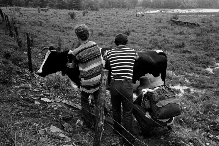 BW_WS183: Woodstock 1969