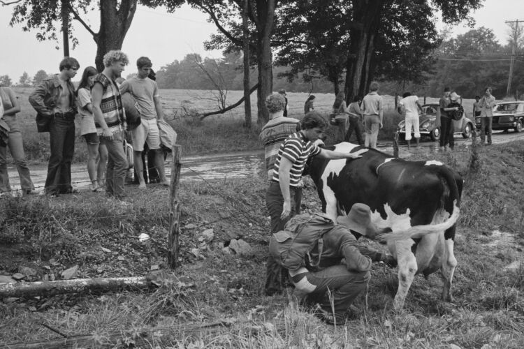 BW_WS184: Woodstock Music & Art Fair