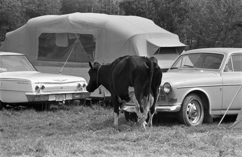 BW_WS203: Woodstock 1969