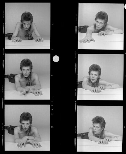 Bowie_Contact_30: David Bowie