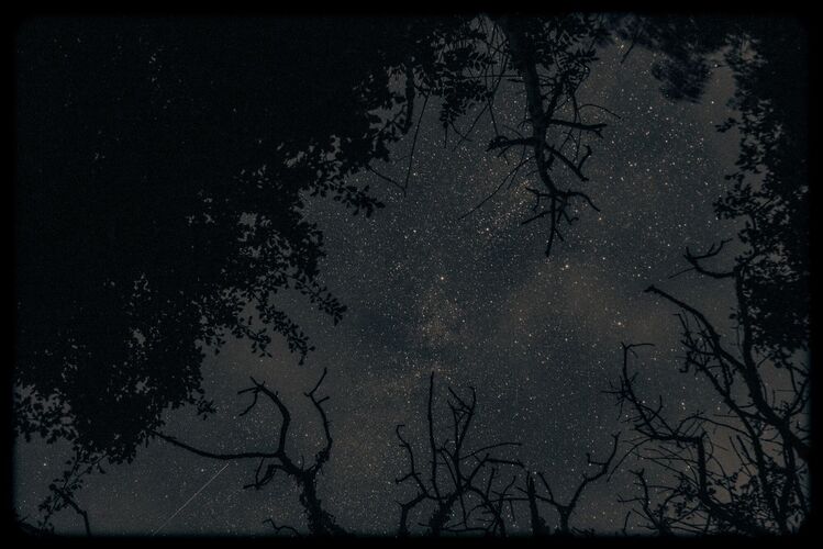 CM_LS012: Travels by Starlight