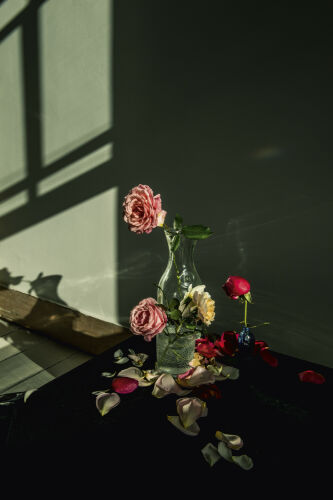 CM_SL003: Still life