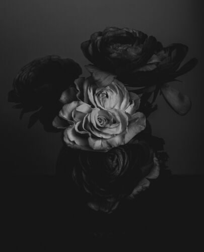 CM_SL016: An Embrace