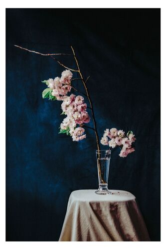 CM_SL024: Cherry Blossom