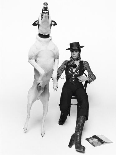 DB001: David Bowie for Diamond Dog
