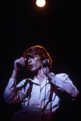 DB040: David Bowie