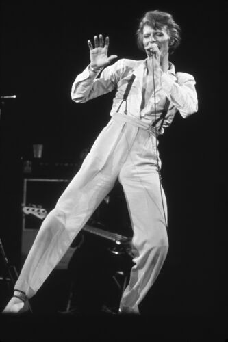 DB069: David Bowie
