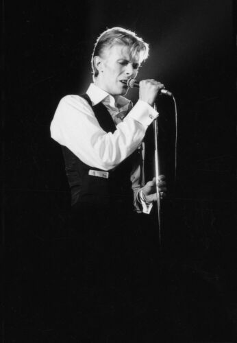 DB102: David Bowie