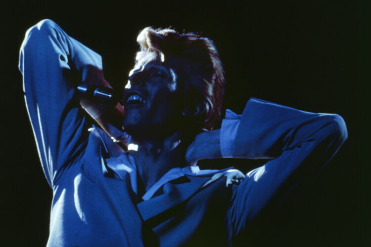 DB169: David Bowie