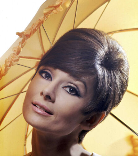DK_AH016: Audrey Hepburn