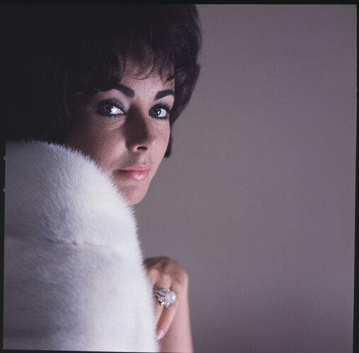 DK_ET009: Elizabeth Taylor