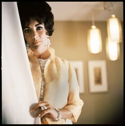 DK_ET014: Elizabeth Taylor