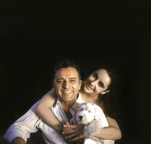 DK_ET021: Elizabeth Taylor
