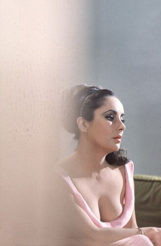 DK_ET024: Elizabeth Taylor