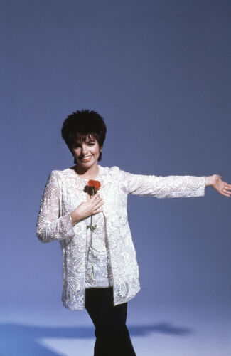 DK_LM003: Liza Minnelli