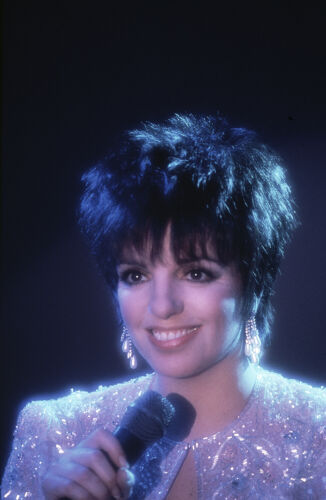 DK_LM004: Liza Minnelli