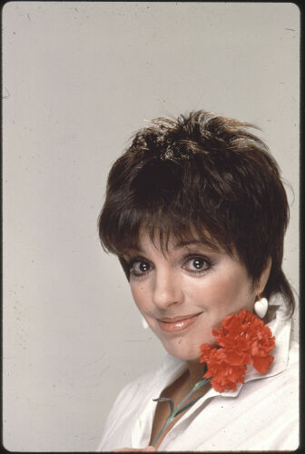 DK_LM009: Liza Minnelli