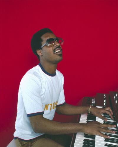 DK_SW001: Stevie Wonder