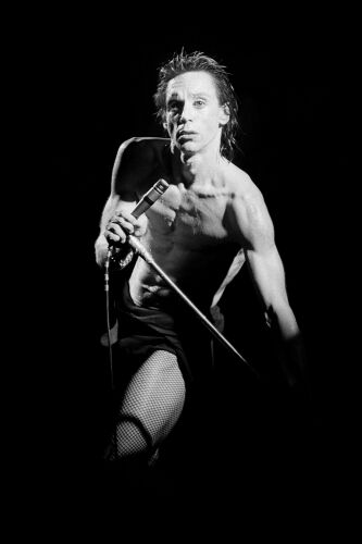 DOR_IP001: Iggy Pop