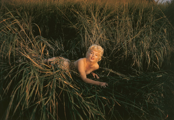 EA_MM023: Marilyn Monroe