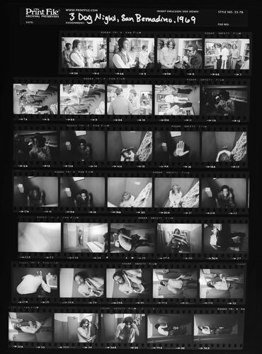 EC_3DogNight_033: Three Dog Night