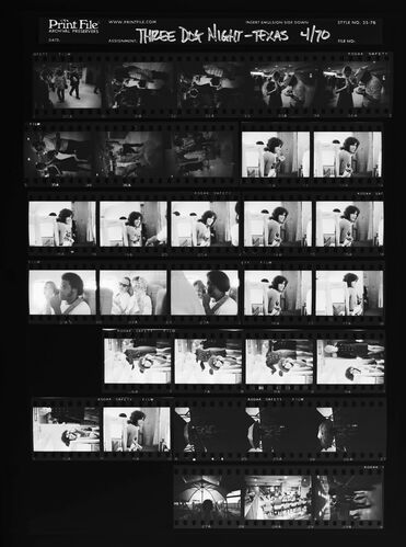 EC_3DogNight_0947: Three Dog Night