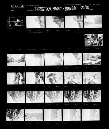 EC_3DogNight_0979: Three Dog Night