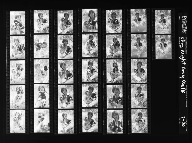 EC_3DogNight_0980: Three Dog Night