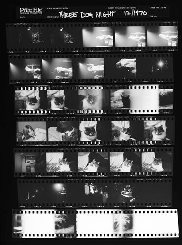 EC_3DogNight_1008: Three Dog Night